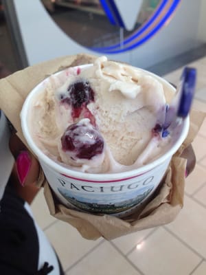 Paciugo Gelato Cafe by null