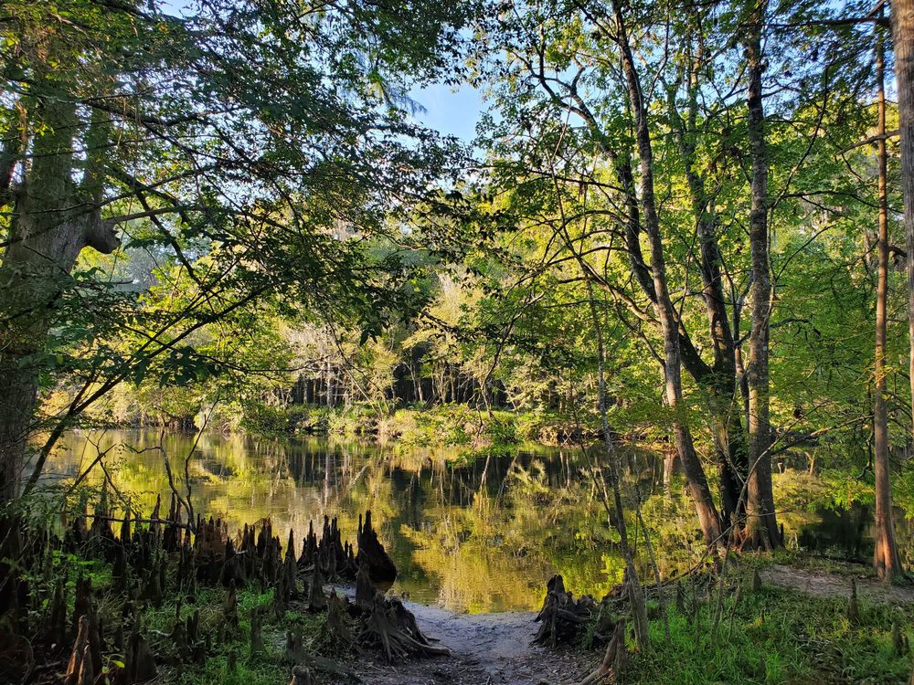 Rum Island Park Image