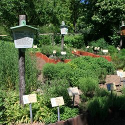 Heilkräutergarten
