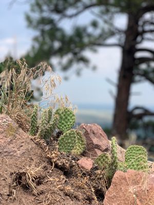 Mount Sanitas Trailhead by null