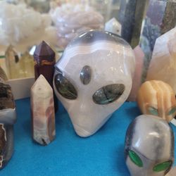 Carolina Prospectors - For the unusual!