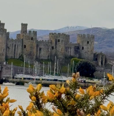 Conwy Castle by null