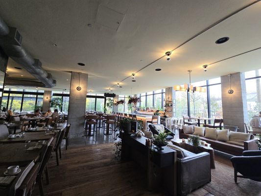 Barbuto Brooklyn by null