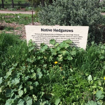 Veggielution - Native hedgerows - Farmers Market Near Me - San Jose, California Veggielution - Native hedgerows - Farmers Market Near Me - San Jose, California