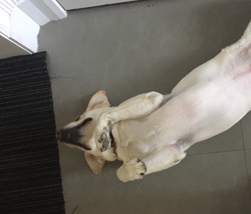 Slide of American Backflow Testers