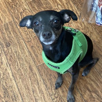 Catskill Veterinary Services - Veterinarians Near Me - Rock Hill, New York Catskill Veterinary Services - Veterinarians Near Me - Rock Hill, New York