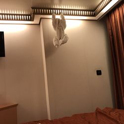 Carnival Sensation - Monkey hanging out