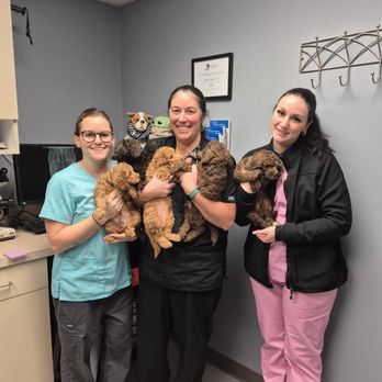 Old Country Animal Clinic - Veterinarians Near Me - Plainview, New York Old Country Animal Clinic - Veterinarians Near Me - Plainview, New York