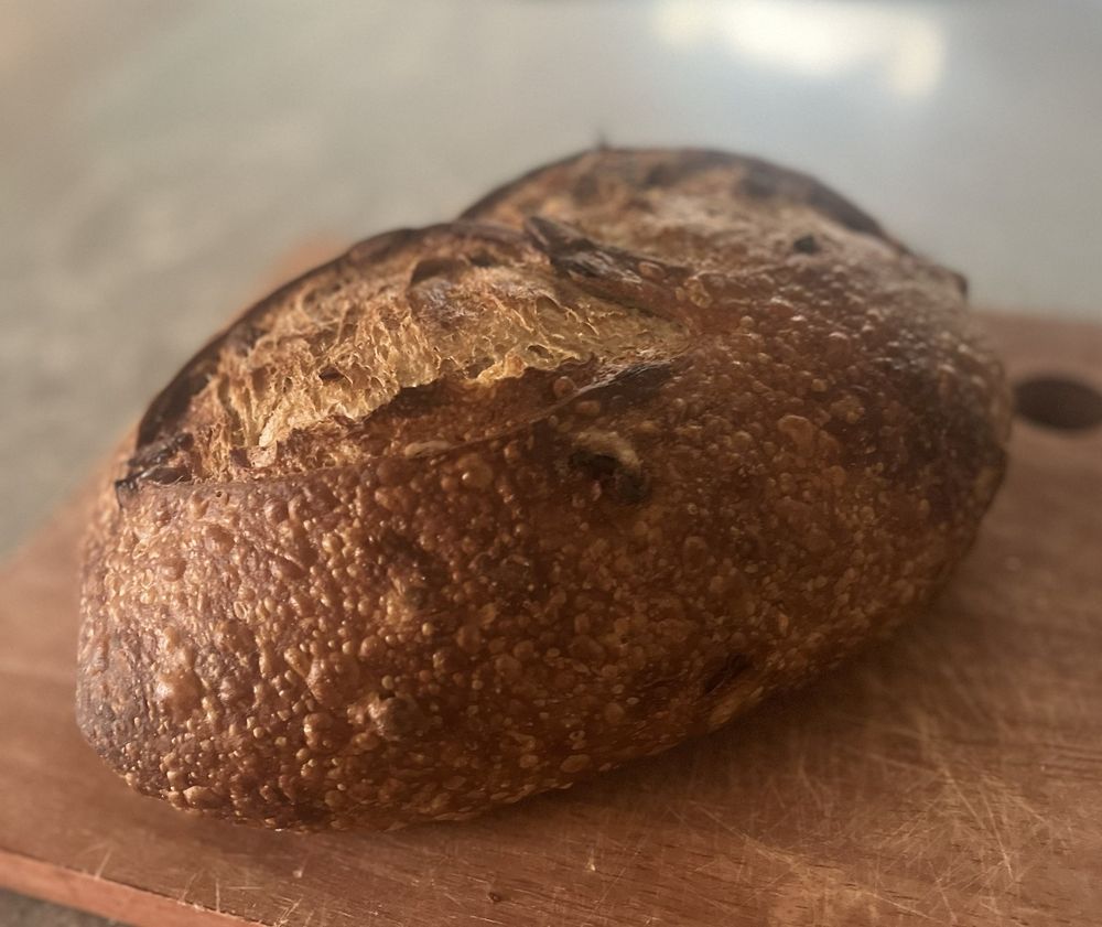 BARRIO BREAD GILBERT Updated August 2024 34 Photos 932 N