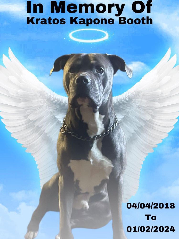 BUFFALO GAP RD ANIMAL CLINIC Updated July 2024 22 Reviews 4522