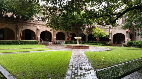 Christ Church Cathedral by null