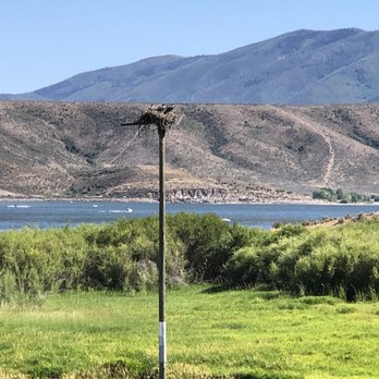 Heber Valley Railroad - Nesting Sandhill Cranes - Local Flavor Near Me - Heber City, Utah