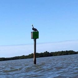 Estero Bay - We made it!