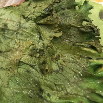 Chick-fil-A - So glad I checked before I ate this. Bacteria anyone? - Fast Food Near Me - Orlando, Florida Chick-fil-A - So glad I checked before I ate this. Bacteria anyone? - Fast Food Near Me - Orlando, Florida