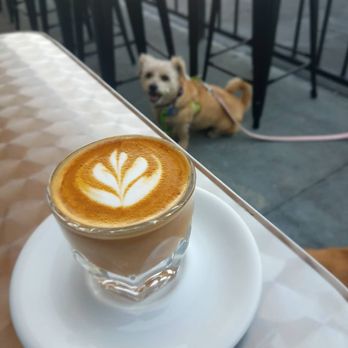 Offset Coffee Roasters - Cortado and my puppy in the background - Coffee & Tea Near Me - Torrance, California Offset Coffee Roasters - Cortado and my puppy in the background - Coffee & Tea Near Me - Torrance, California