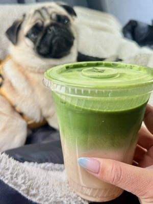 Third Culture Bakery Berkeley by null Third Culture Bakery Berkeley by null