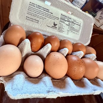 Sycamore Farm Meats - Farm fresh eggs - Farmers Market Near Me - Higganum, Connecticut Sycamore Farm Meats - Farm fresh eggs - Farmers Market Near Me - Higganum, Connecticut