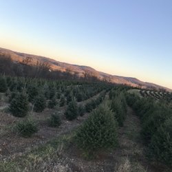 Smith Tree Farm