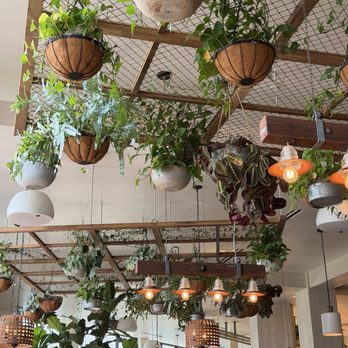 Valley Goat - New American Near Me - Sunnyvale, California