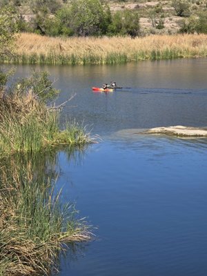 Patagonia Lake State Park by null
