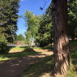 Nice trails