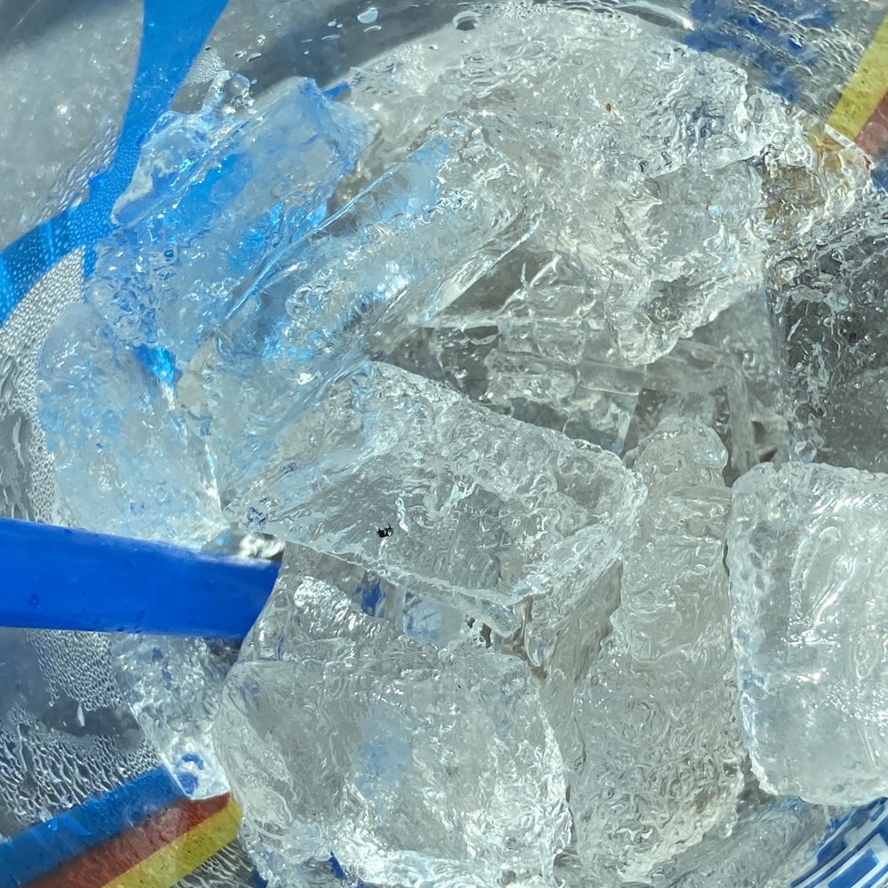 Dutch Bros Coffee - A bug frozen into the ice. - Coffee & Tea Near Me - Casa Grande, Arizona