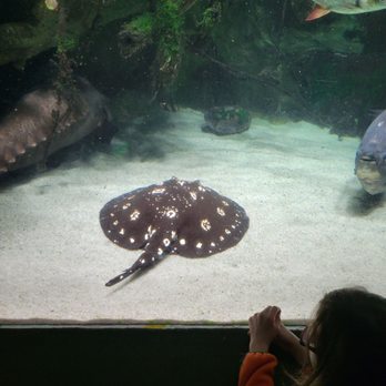National Aquarium - Aquariums Near Me - Baltimore, Maryland National Aquarium - Aquariums Near Me - Baltimore, Maryland