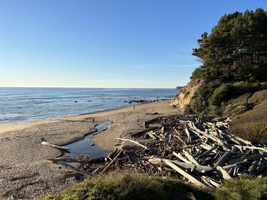 Bowling Ball Beach Trailhead by null