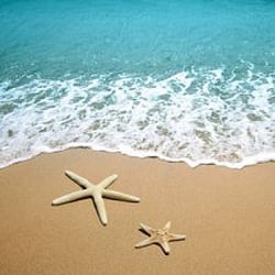 Four Winds Travel - A sandy beach for a perfect honeymoon.