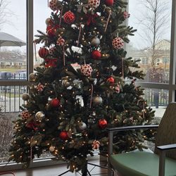 Bloomington Regional Rehabilitation Hospital - Christmas tree in outpatient unit