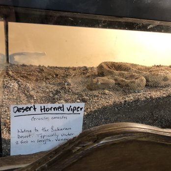 Goldfield Ghost Town - Landmarks & Historical Buildings Near Me - Apache Junction, Arizona