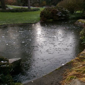 Kubota Garden - Frozen pond - Botanical Gardens Near Me - Seattle, Washington Kubota Garden - Frozen pond - Botanical Gardens Near Me - Seattle, Washington
