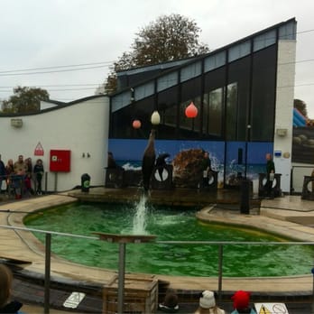 ZSL Whipsnade Zoo - Zoos Near Me - Dunstable, CBF ZSL Whipsnade Zoo - Zoos Near Me - Dunstable, CBF