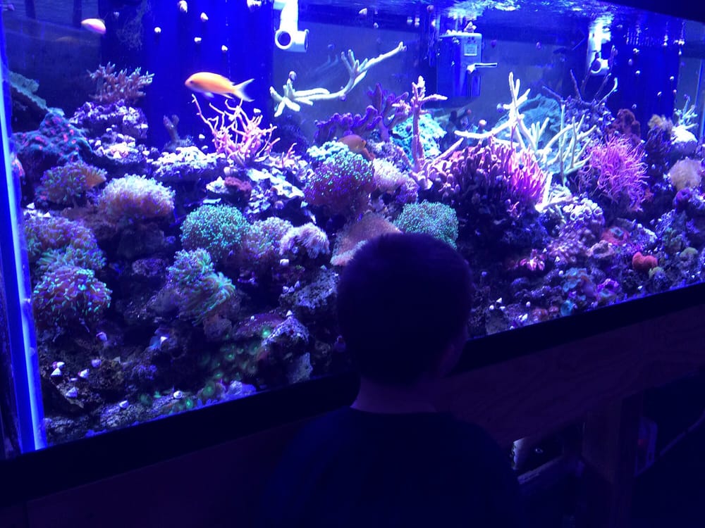 Sea of Marvels Image