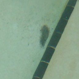 Pictures of disgusting state of the pool -  M.A.C. Extreme. Owners/ management have been confronted - communicated that pool is not priority
