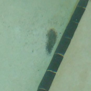 The M.A.C. Xtreme - Pictures of disgusting state of the pool -  M.A.C. Extreme. Owners/ management have been confronted - communicated that pool is not priority - Gyms Near Me - Cedar Rapids, Iowa