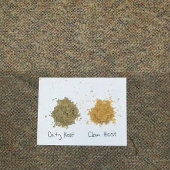 Swift Clean - Before and After - Carpet Cleaning Near Me - Vancouver, British Columbia Swift Clean - Before and After - Carpet Cleaning Near Me - Vancouver, British Columbia