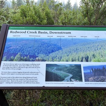 Redwood Creek Overlook - Info signs - Parks Near Me - Orick, California Redwood Creek Overlook - Info signs - Parks Near Me - Orick, California
