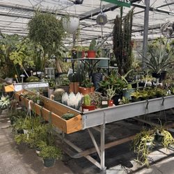 Alpine Nursery & Landscape