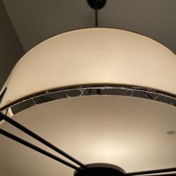 Squeeky Kleen Cleaning Service