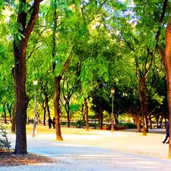 Jardines del Prado de San Sebastián - Jardines del Prado de San Sebastián