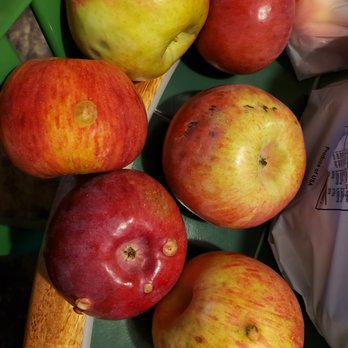 Steere Orchard - These were the "best" of what we could find. Look appetizing? - Farmers Market Near Me - Greenville, Rhode Island Steere Orchard - These were the "best" of what we could find. Look appetizing? - Farmers Market Near Me - Greenville, Rhode Island