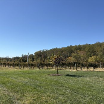 Southwest Mountain Vineyards - Wine Tasting Room Near Me - Keswick, Virginia Southwest Mountain Vineyards - Wine Tasting Room Near Me - Keswick, Virginia
