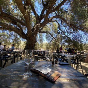 Casa Magoni - Outdoor seating - Wineries Near Me - Guadalupe, BCN Casa Magoni - Outdoor seating - Wineries Near Me - Guadalupe, BCN