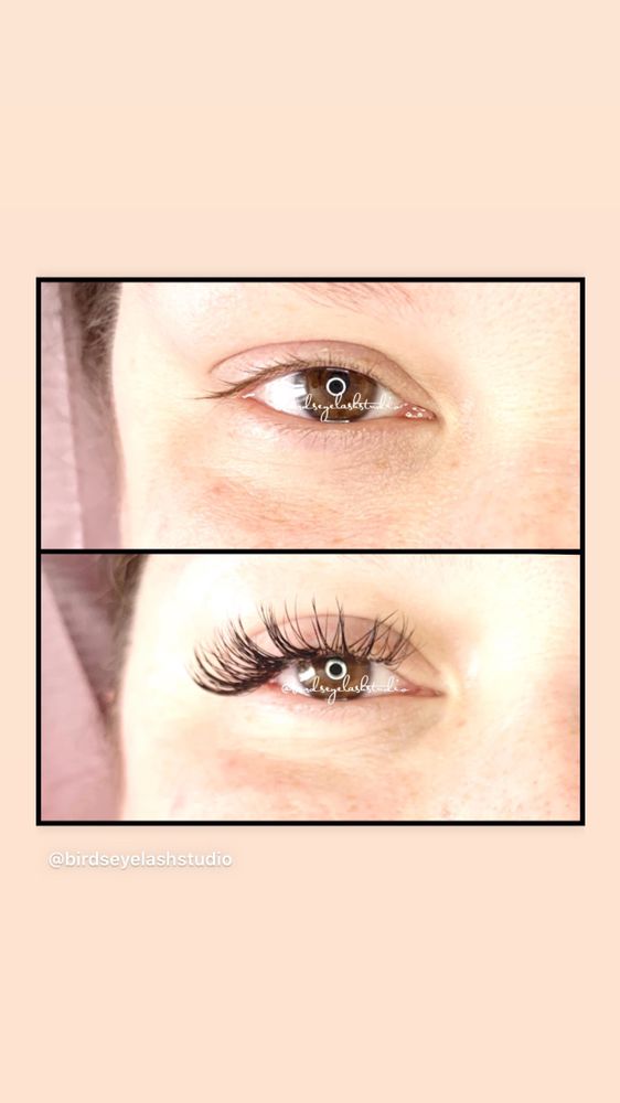 Birds Eye Lash Studio Logo
