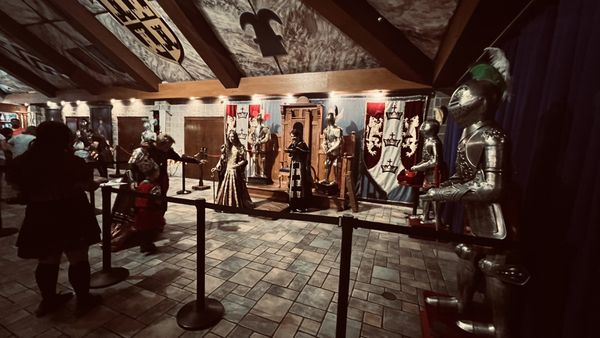 Medieval Times Dinner & Tournament by null