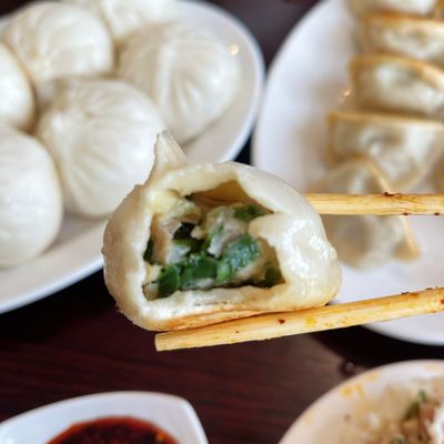 Dumpling King by null