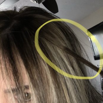 Elite Salon & Spa - How in the heck did he (Musa) even manage to do this?!! - Hair Salons Near Me - Burbank, Illinois Elite Salon & Spa - How in the heck did he (Musa) even manage to do this?!! - Hair Salons Near Me - Burbank, Illinois