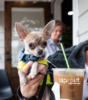 Eat Sprout - Bethesda Row by null