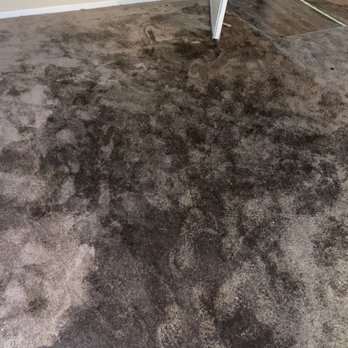 Prime Management Group - Living room completely flooded - Property Management Near Me - Whittier, California